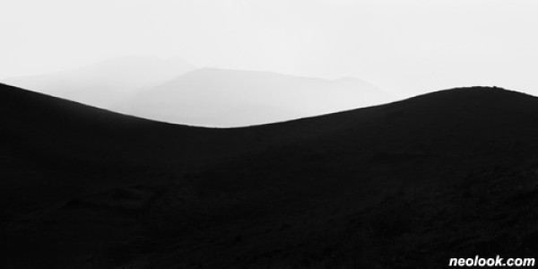 프리 스타일 : 예술과 디자인의 소통 / Free Style : A Dialogue Between Art and Design展   2010_0510 ~ 2010_0618 / 일요일 휴관