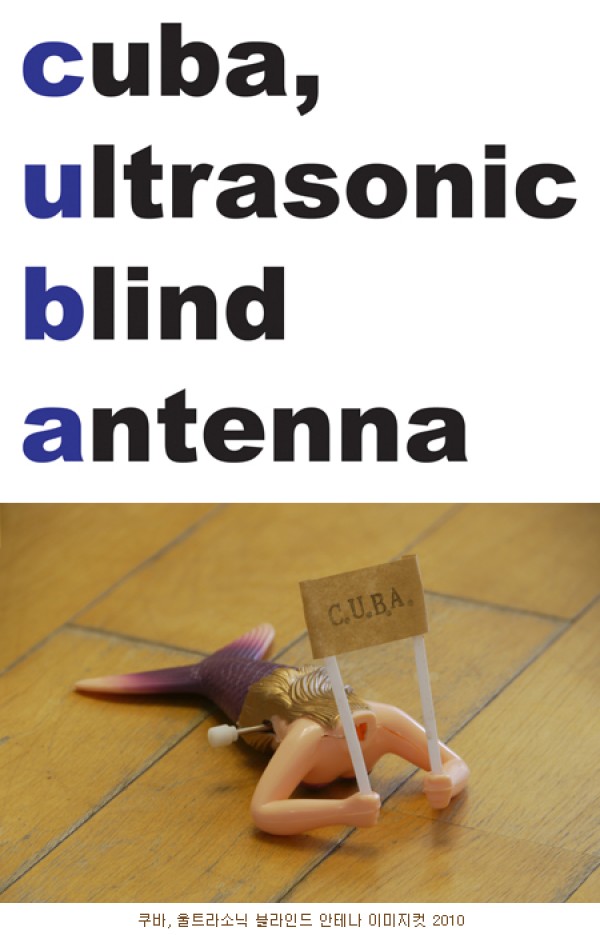 박화영 : c.u.b.a.전 / 2011.01.23(Sun)까지 / 성곡미술관