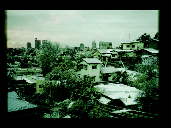 2039473352_d733999c_ShiroFujii_iPdZ8ZhDF9.jpg