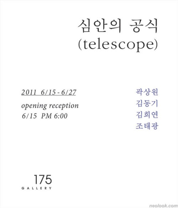 심안의 공식Telescope展  /2011_0615 ~2011_0626 / 갤러리 175 GALLERY