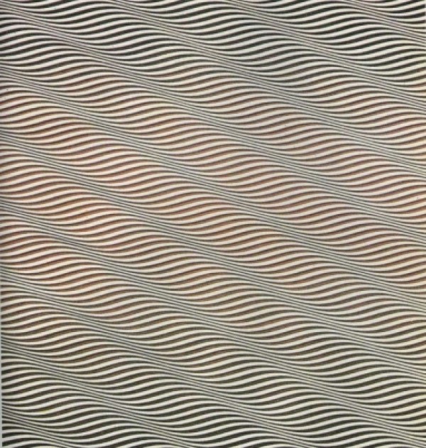 색과 빛의 세계 - 옵아트의 거장 크루즈 디에즈展