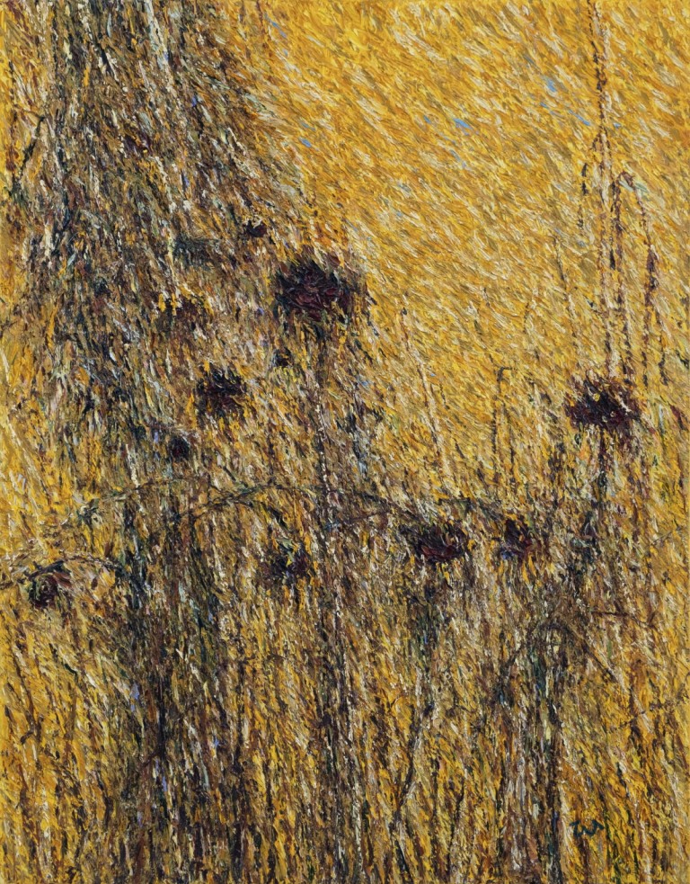 0d78131310e8ad6f115964c8e98e7477_1786513473_5157.jpg