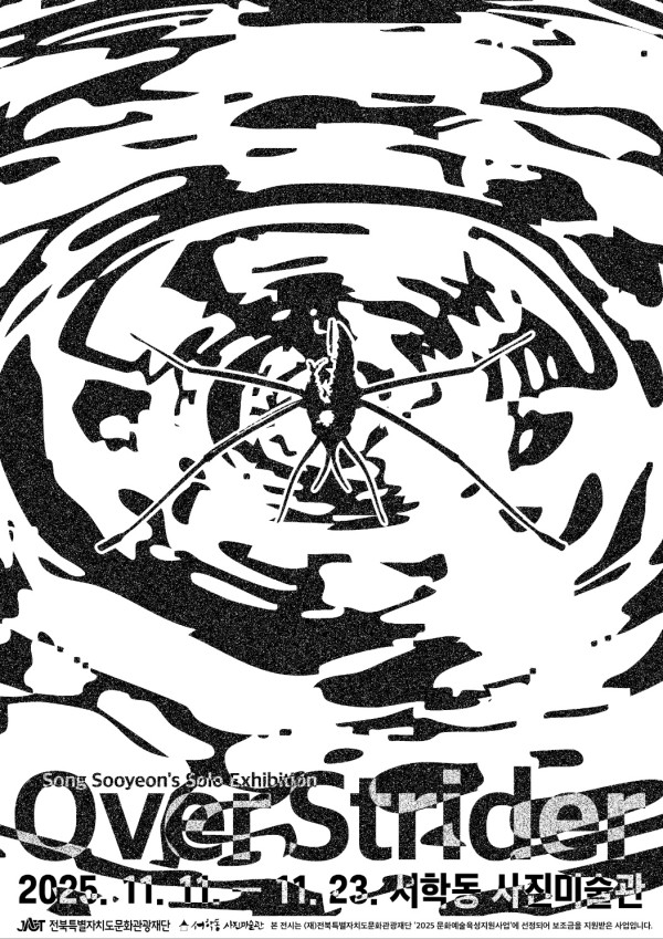 송수연 개인전: OVERSTRIDER