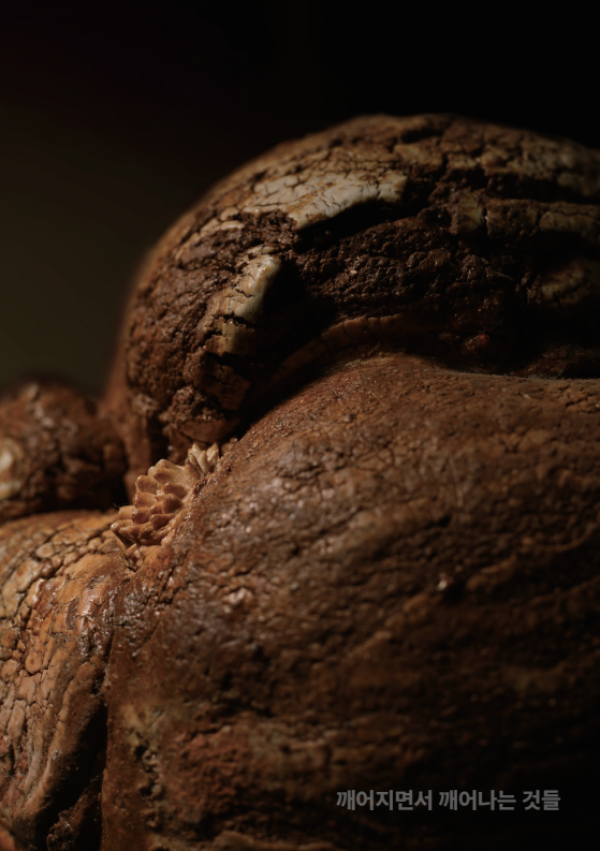 김대웅 개인전 〈깨어지면서 깨어나는 것들〉