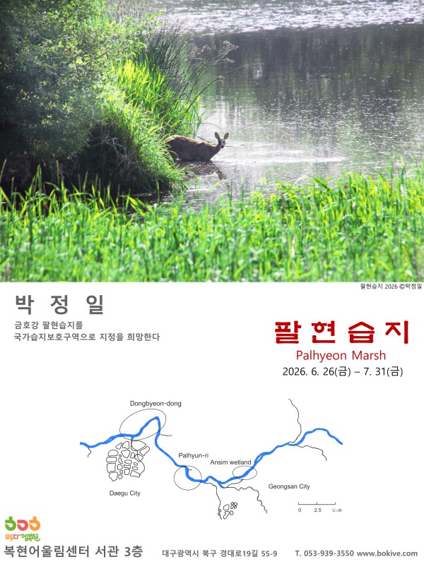 팔현습지