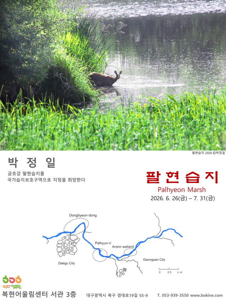 팔현습지