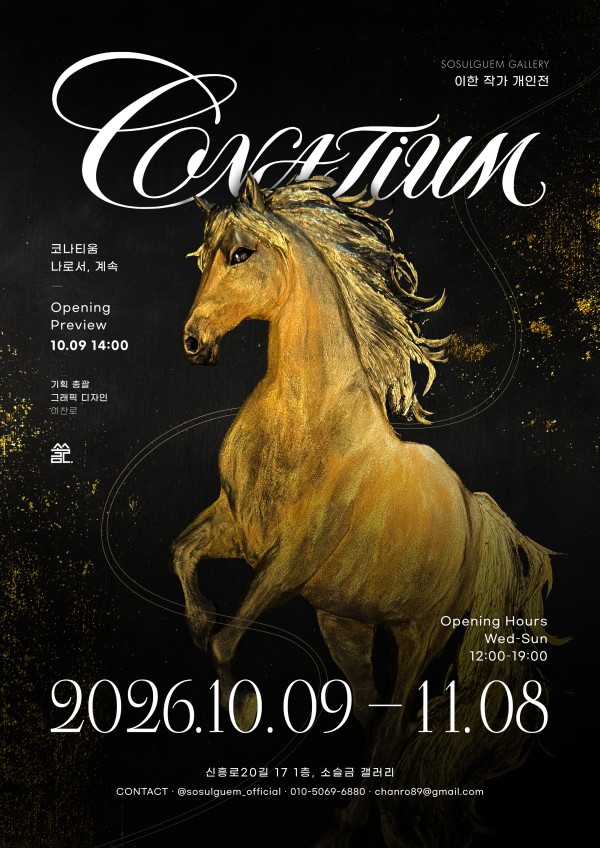 LEE HAN SOLO EXHIBITION CONATIUM — 나로서, 계속