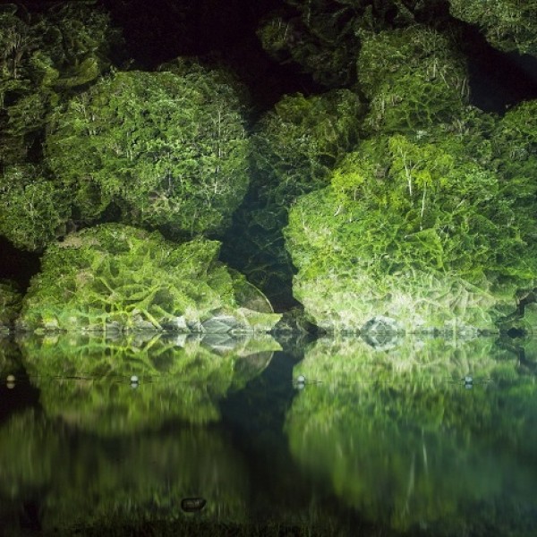갤러리이배 | The Tree Sounds展